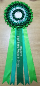 5 Tier Rosettes are usually for Best in Show or Champion Rosettes however they can be used for any occasion.
Printing is done on the front ribbon but printing at extra cost could also be done on the all the ribbons. extra tails could also be added.
Personalization of the 4 tier rosette is an option.
